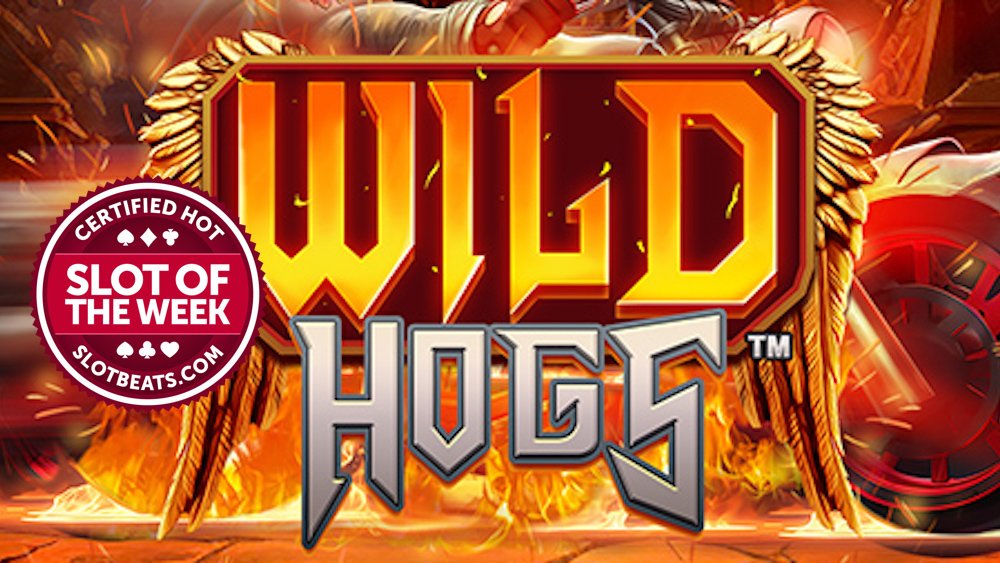 Wild Hogs SOTW