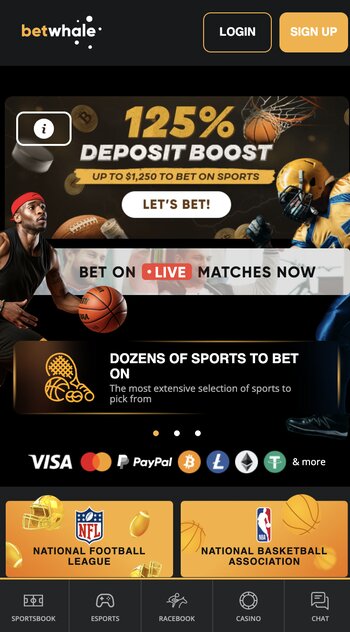 betwhale best sportsbook